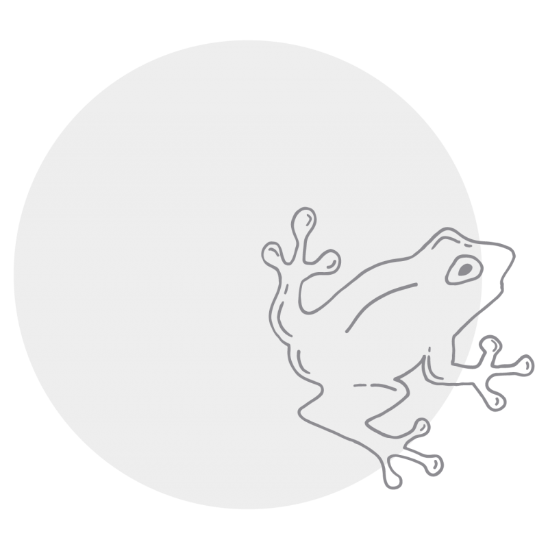 Byron-Bay-Coffee-Co-_line-drawings_v3-04